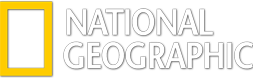 NAT-GEO-LOGO